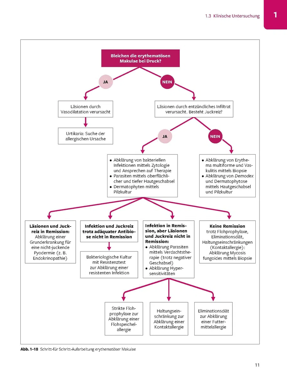 Praxishandbuch Katzendermatologie: Symptome, Diagnostik, Therapie (Vetpraxis)